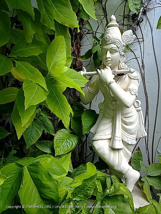 Pondicherry, Sri Aurobindu, Mother, Auroville, Tamil Nadu, India