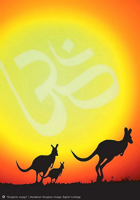 Goldenfish Kangaroos in Australia